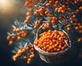 Ripe appetizing sea Ã¢â¬â¹Ã¢â¬â¹Ã¢â¬â¹Ã¢â¬â¹buckthorn berries in an overflowing basket, AI